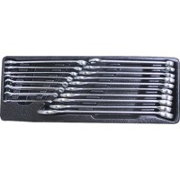 Набор ключей комбинированных 6 - 24 мм 18 пр. в ложементе (ACK-384004)