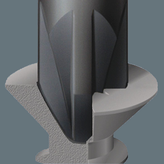 WERA 030160
