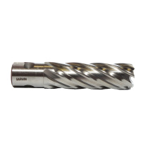 GARWIN 102810-12