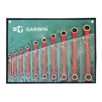 GARWIN GSK0310