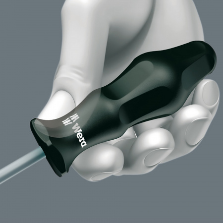 WERA 031224