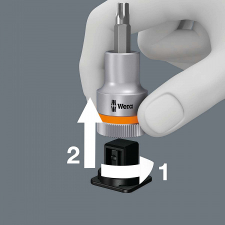 WERA 004202