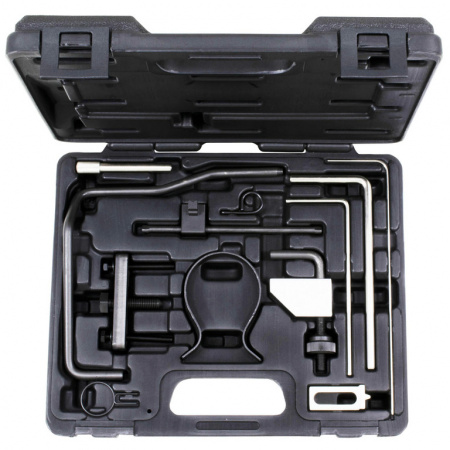 Набор фиксаторов для регулировки фаз ГРМ дизельных двигателей PSA DW10/DW12 (ATA-3820)