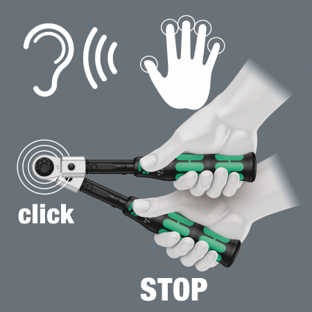 WERA 075651