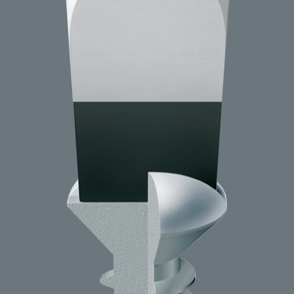 WERA 030111