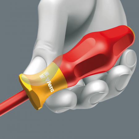 WERA 031603