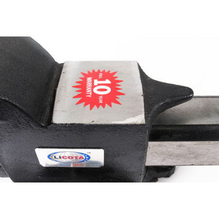 Тиски верстачные 125 мм (5") (TMS-61004)