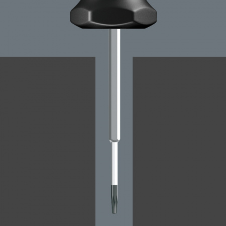 WERA 027910